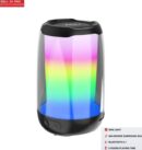 Enceinte haut parleur puissant sans fil Bluetooth 5.0 ZIDLI D1 spectre LED RGB avec prise AUX et USB - Noir
